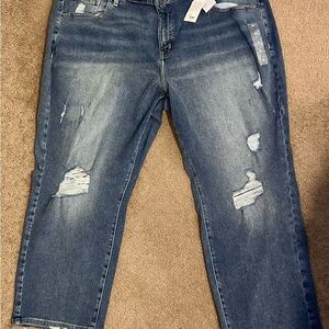 Lane Bryant Dark Blue Straight Jeans